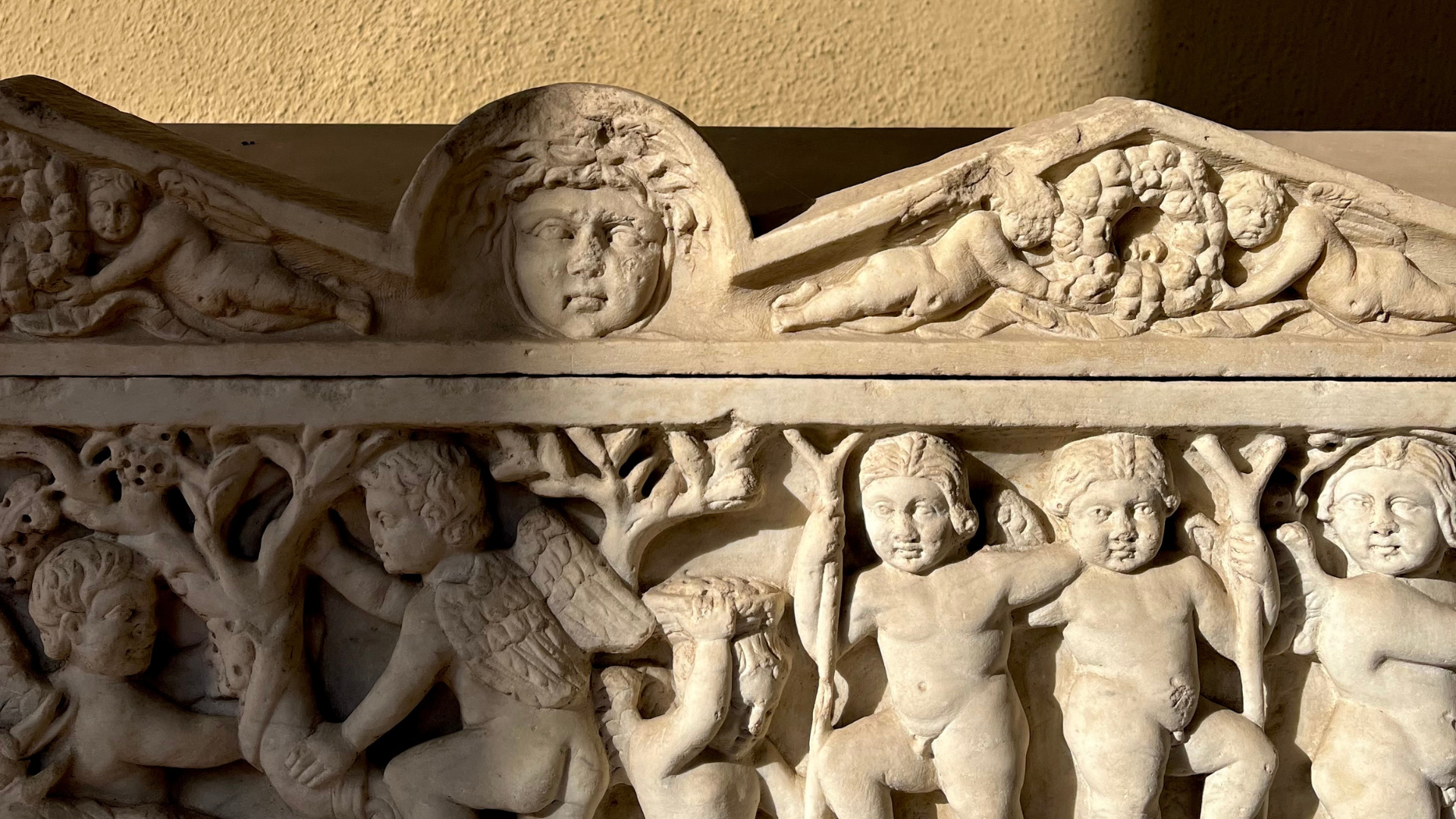 Palazzo Venezia attraverso i sensi  - Arte e storia al servizio di tutti